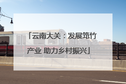 云南大关：发展筇竹产业 助力乡村振兴