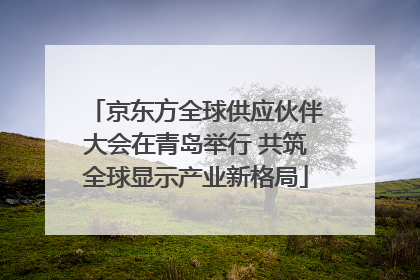 京东方全球供应伙伴大会在青岛举行 共筑全球显示产业新格局