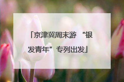 京津冀周末游 “银发青年”专列出发