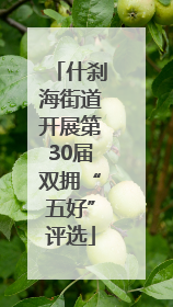 什刹海街道开展第30届双拥“五好”评选