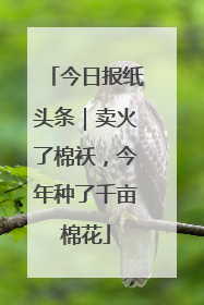 今日报纸头条｜卖火了棉袄，今年种了千亩棉花