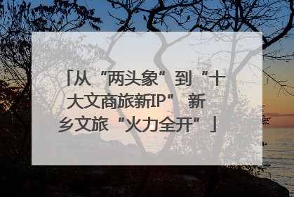 从“两头象”到“十大文商旅新IP” 新乡文旅“火力全开”