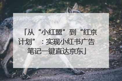 从“小红盟”到“红京计划”：实现小红书广告笔记一键直达京东