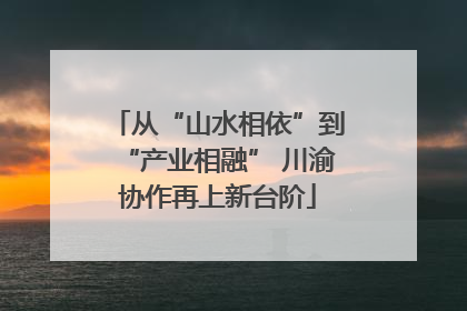 从“山水相依”到“产业相融” 川渝协作再上新台阶