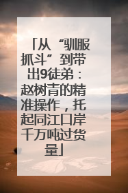 从“驯服抓斗”到带出9徒弟：赵树青的精准操作，托起同江口岸千万吨过货量
