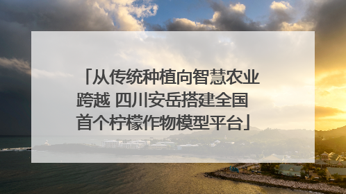 从传统种植向智慧农业跨越 四川安岳搭建全国首个柠檬作物模型平台
