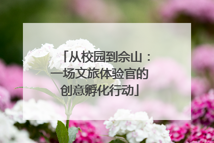 从校园到佘山：一场文旅体验官的创意孵化行动