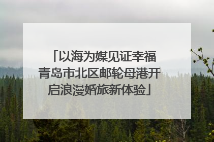以海为媒见证幸福 青岛市北区邮轮母港开启浪漫婚旅新体验