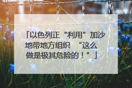 以色列正“利用”加沙地带地方组织  “这么做是极其危险的！”