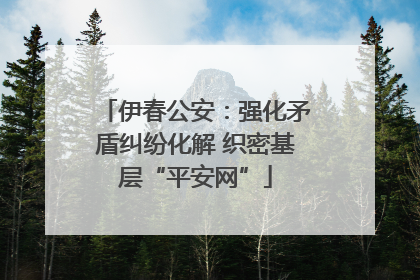 伊春公安：强化矛盾纠纷化解 织密基层“平安网”