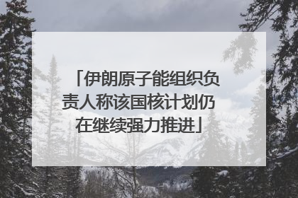 伊朗原子能组织负责人称该国核计划仍在继续强力推进