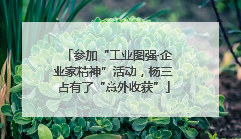 参加“工业图强·企业家精神”活动，杨三占有了“意外收获”