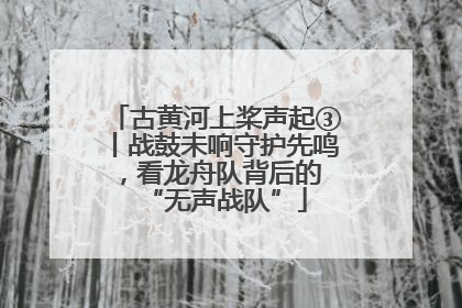 古黄河上桨声起③丨战鼓未响守护先鸣，看龙舟队背后的 “无声战队”