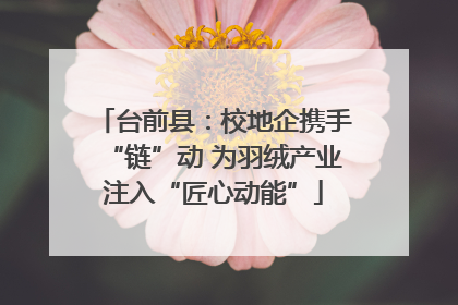 台前县：校地企携手“链”动 为羽绒产业注入“匠心动能”