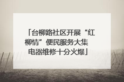 台柳路社区开展“红柳情”便民服务大集 电器维修十分火爆