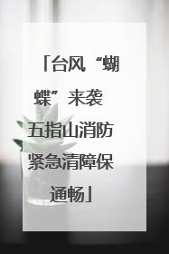 台风“蝴蝶”来袭 五指山消防紧急清障保通畅