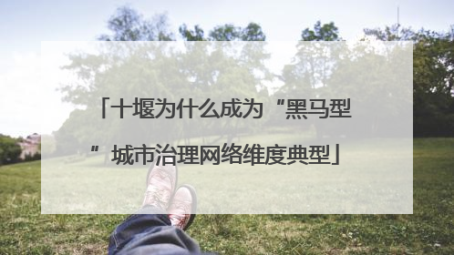 十堰为什么成为“黑马型”城市治理网络维度典型