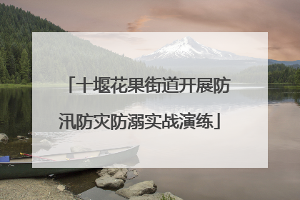 十堰花果街道开展防汛防灾防溺实战演练