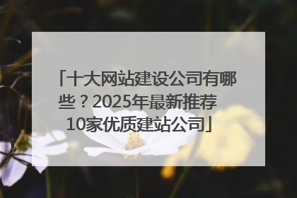 十大网站建设公司有哪些？2025年最新推荐10家优质建站公司