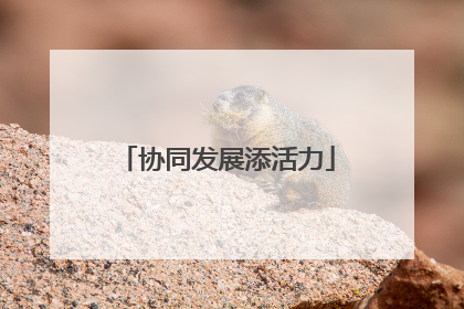 协同发展添活力