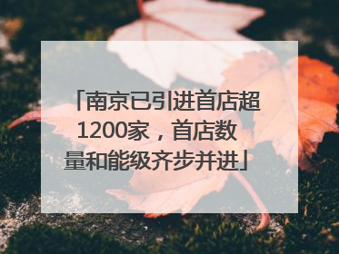 南京已引进首店超1200家，首店数量和能级齐步并进