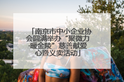 南京市中小企业协会圆满举办“聚微力·暖金陵”慈善献爱心暨义卖活动