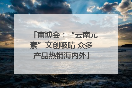 南博会：“云南元素”文创吸睛 众多产品热销海内外
