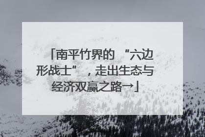 南平竹界的 “六边形战士”，走出生态与经济双赢之路→