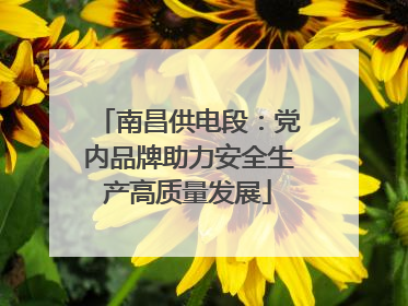 南昌供电段：党内品牌助力安全生产高质量发展