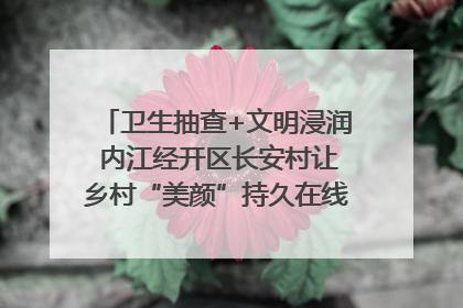 卫生抽查+文明浸润 内江经开区长安村让乡村“美颜”持久在线｜万千气象看四川