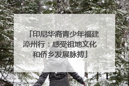 印尼华裔青少年福建漳州行：感受祖地文化和侨乡发展脉搏
