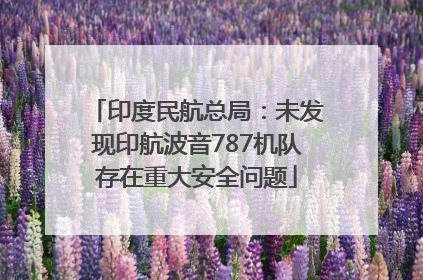 印度民航总局：未发现印航波音787机队存在重大安全问题