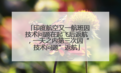 印度航空又一航班因技术问题在起飞后返航，一天之内第三次因“技术问题”返航