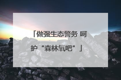 做强生态警务 呵护“森林氧吧”