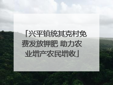 兴平镇统其克村免费发放钾肥 助力农业增产农民增收