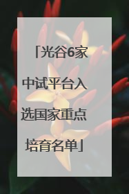 光谷6家中试平台入选国家重点培育名单