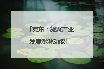 克东：凝聚产业发展澎湃动能