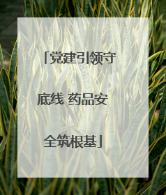 党建引领守底线 药品安全筑根基