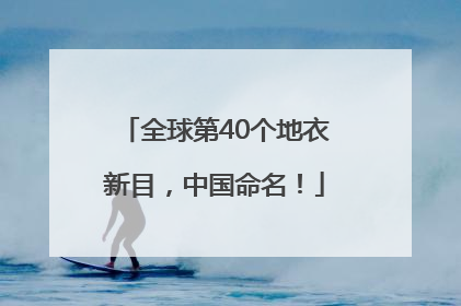 全球第40个地衣新目，中国命名！