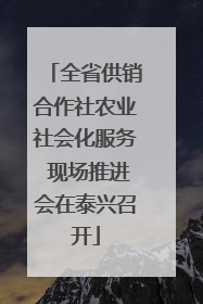 全省供销合作社农业社会化服务 现场推进会在泰兴召开