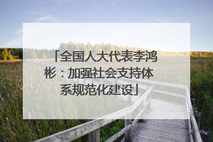 全国人大代表李鸿彬：加强社会支持体系规范化建设