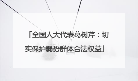 全国人大代表葛树芹：切实保护弱势群体合法权益