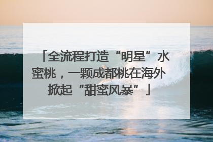 全流程打造“明星”水蜜桃，一颗成都桃在海外掀起“甜蜜风暴”
