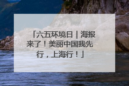 六五环境日｜海报来了！美丽中国我先行，上海行！