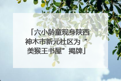 六小龄童现身陕西神木市新元社区为“美猴王书屋”揭牌