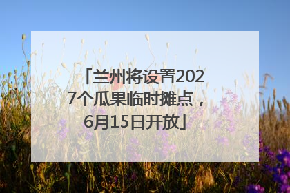 兰州将设置2027个瓜果临时摊点，6月15日开放