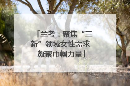 兰考：聚焦“三新”领域女性需求 凝聚巾帼力量