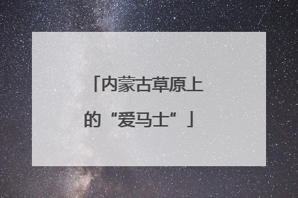 内蒙古草原上的“爱马士”