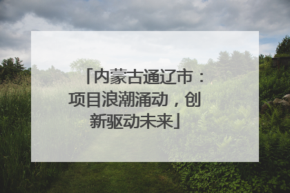 内蒙古通辽市：项目浪潮涌动，创新驱动未来