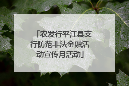 农发行平江县支行防范非法金融活动宣传月活动